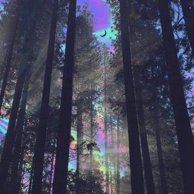 迷你高尔夫大挑战